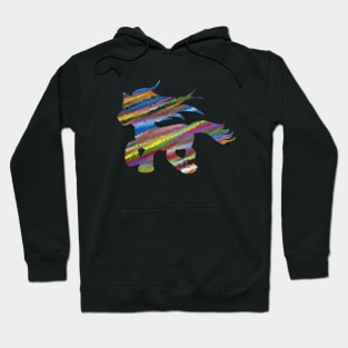 Cute Little Pony Color Splash Hoodie